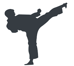martial arts generic image